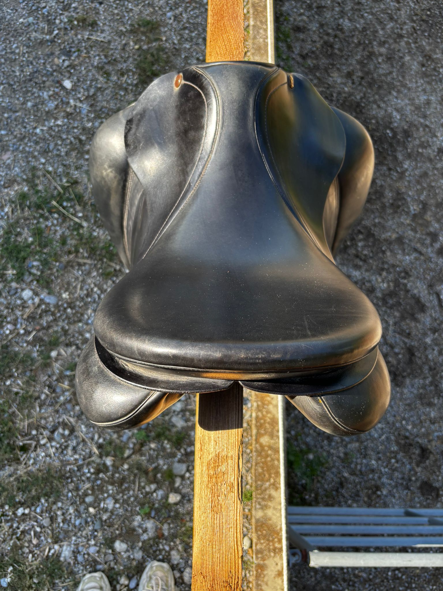 Prestige Top Dressage – Bild 4 von 7